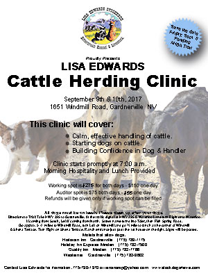 Lisa Edwards Stockdogs