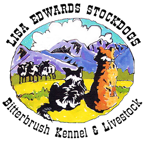 Lisa Edwards Stockdogs